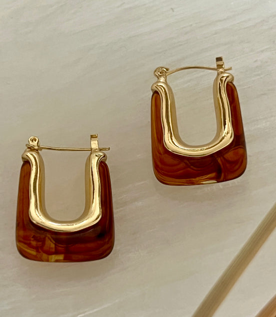 Brown  Hoops Earrings